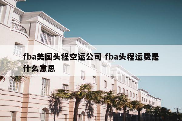 fba美国头程空运公司 fba头程运费是什么意思