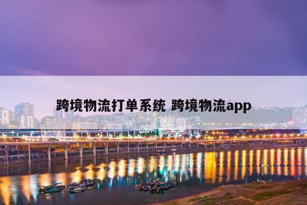 跨境物流打单系统 跨境物流app