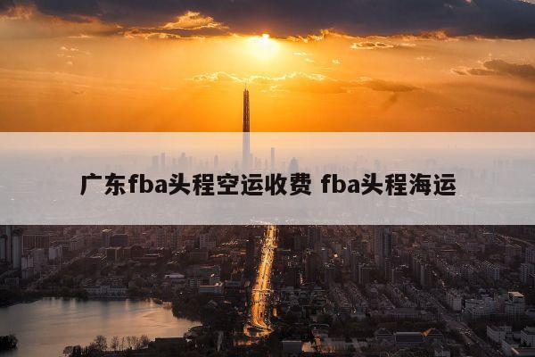 广东fba头程空运收费 fba头程海运