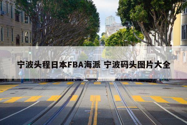 宁波头程日本FBA海派 宁波码头图片大全