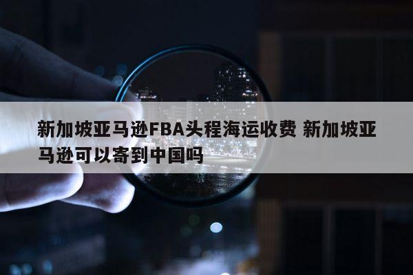 新加坡亚马逊FBA头程海运收费 新加坡亚马逊可以寄到中国吗