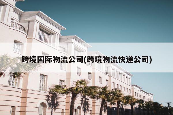 跨境国际物流公司(跨境物流快递公司)