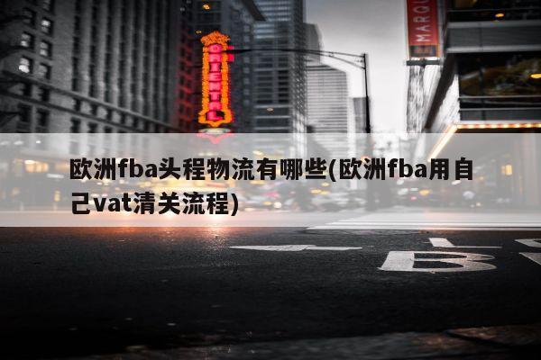 欧洲fba头程物流有哪些(欧洲fba用自己vat清关流程)