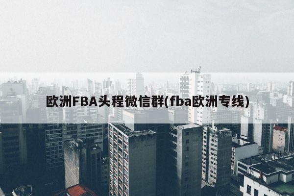 欧洲FBA头程微信群(fba欧洲专线)