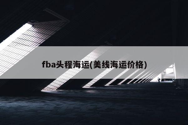 fba头程海运(美线海运价格)