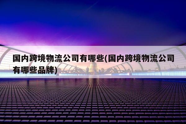 国内跨境物流公司有哪些(国内跨境物流公司有哪些品牌)