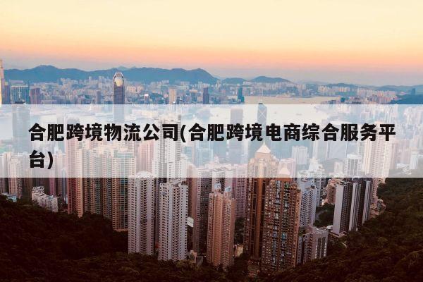 合肥跨境物流公司(合肥跨境电商综合服务平台)