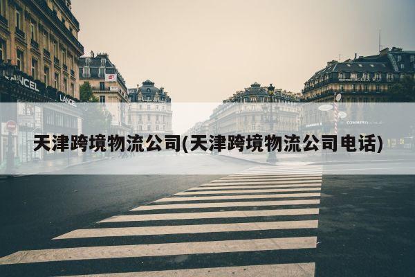 天津跨境物流公司(天津跨境物流公司电话)