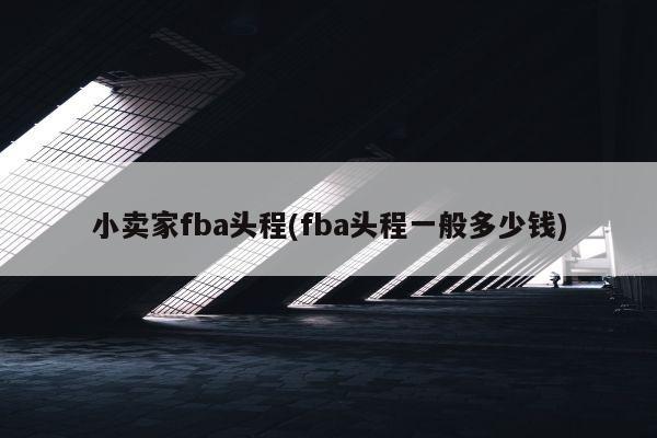 小卖家fba头程(fba头程一般多少钱)