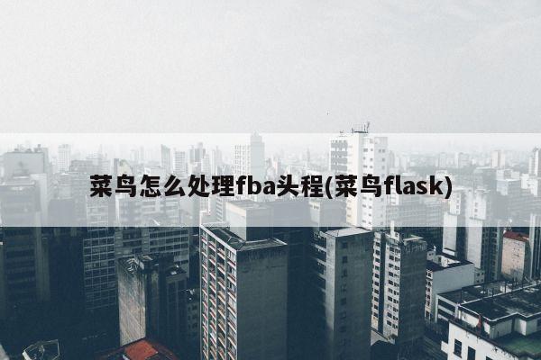 菜鸟怎么处理fba头程(菜鸟flask)