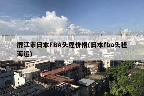 廉江市日本FBA头程价格(日本fba头程海运)