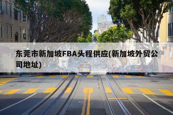 东莞市新加坡FBA头程供应(新加坡外贸公司地址)