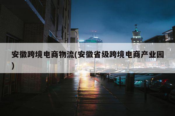 安徽跨境电商物流(安徽省级跨境电商产业园)