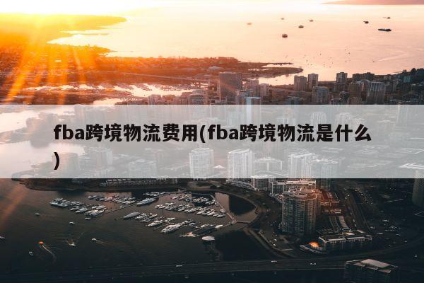 fba跨境物流费用(fba跨境物流是什么)