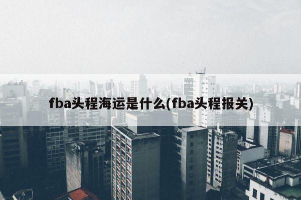 fba头程海运是什么(fba头程报关)