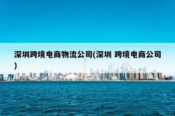 深圳跨境电商物流公司(深圳 跨境电商公司)