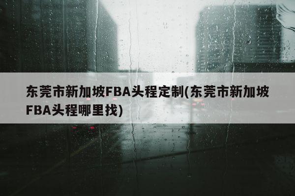 东莞市新加坡FBA头程定制(东莞市新加坡FBA头程哪里找)