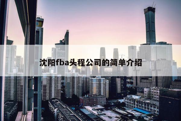 沈阳fba头程公司的简单介绍