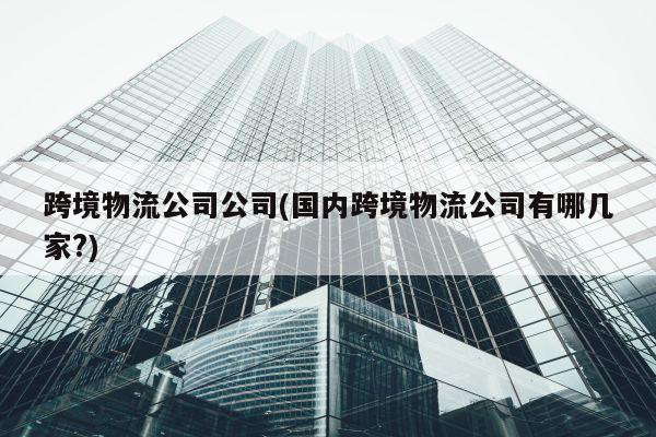 跨境物流公司公司(国内跨境物流公司有哪几家?)