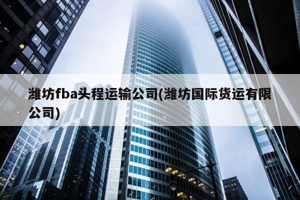 潍坊fba头程运输公司(潍坊国际货运有限公司)