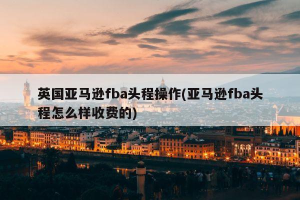 英国亚马逊fba头程操作(亚马逊fba头程怎么样收费的)