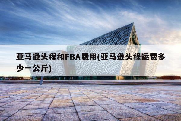 亚马逊头程和FBA费用(亚马逊头程运费多少一公斤)