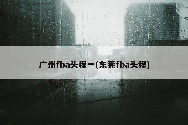 广州fba头程一(东莞fba头程)