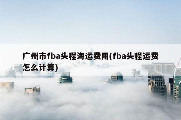 广州市fba头程海运费用(fba头程运费怎么计算)