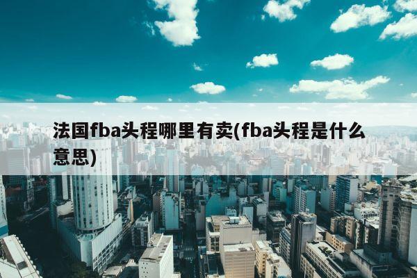 法国fba头程哪里有卖(fba头程是什么意思)