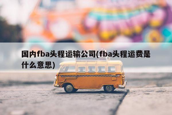 国内fba头程运输公司(fba头程运费是什么意思)