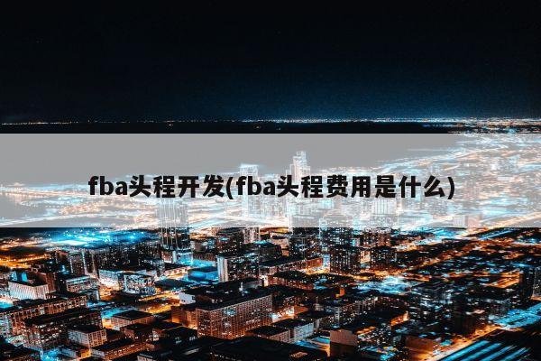 fba头程开发(fba头程费用是什么)