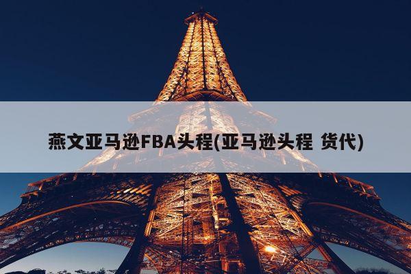 燕文亚马逊FBA头程(亚马逊头程 货代)