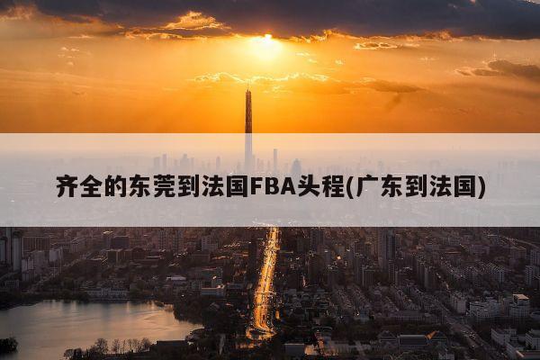 齐全的东莞到法国FBA头程(广东到法国)