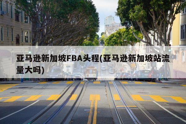 亚马逊新加坡FBA头程(亚马逊新加坡站流量大吗)