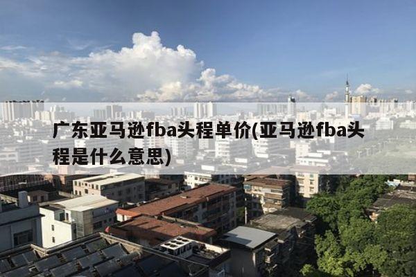 广东亚马逊fba头程单价(亚马逊fba头程是什么意思)