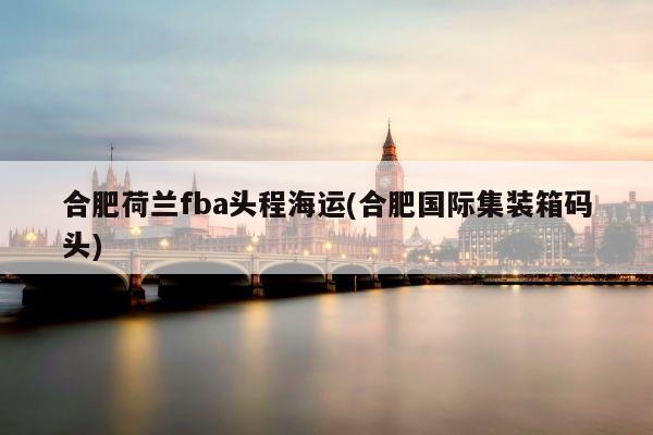 合肥荷兰fba头程海运(合肥国际集装箱码头)