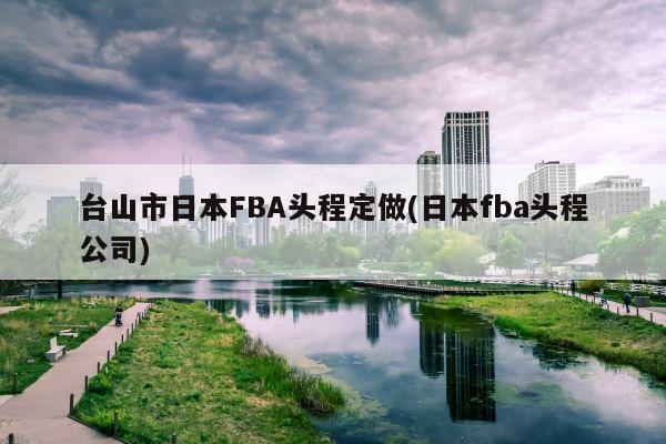 台山市日本FBA头程定做(日本fba头程公司)