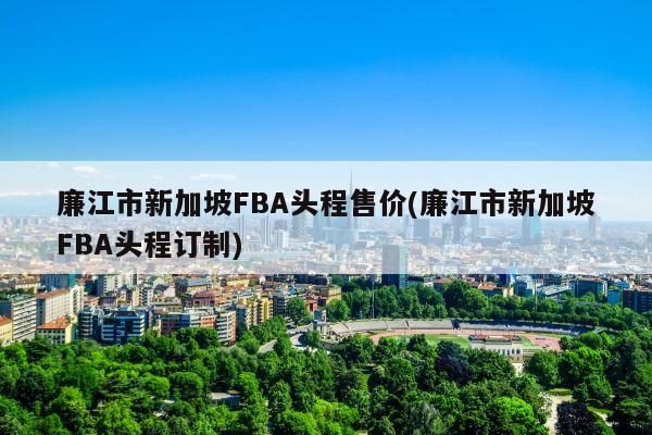 廉江市新加坡FBA头程售价(廉江市新加坡FBA头程订制)