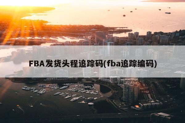 FBA发货头程追踪码(fba追踪编码)